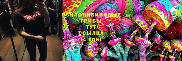 первитин Богородск