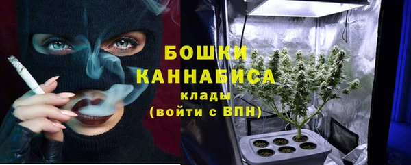 прущая мука Богородицк