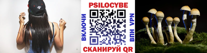 мега ТОР  где купить   Купино  shop состав  Галлюциногенные грибы MAGIC MUSHROOMS 